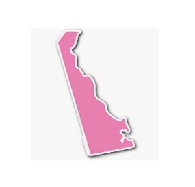 Get Approved for a title loan online in DE with Premier.