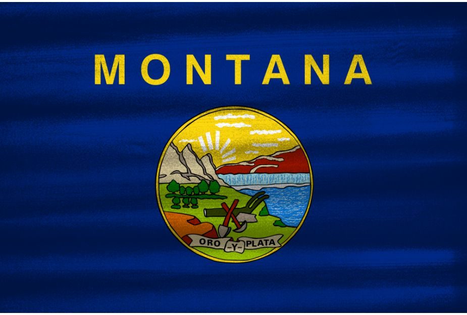 Auto title loans in Montana with funding in one hour.