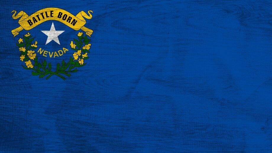 Check state disclosures regarding loans in Nevada.