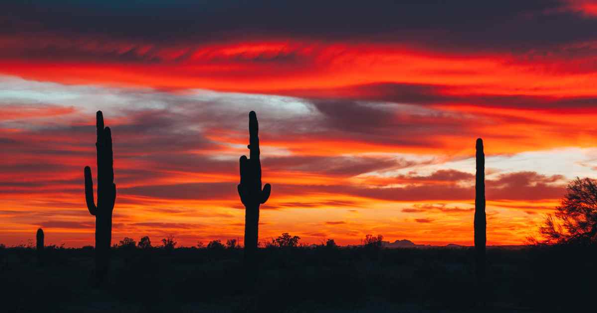 The Arizona Desert at sunset.
