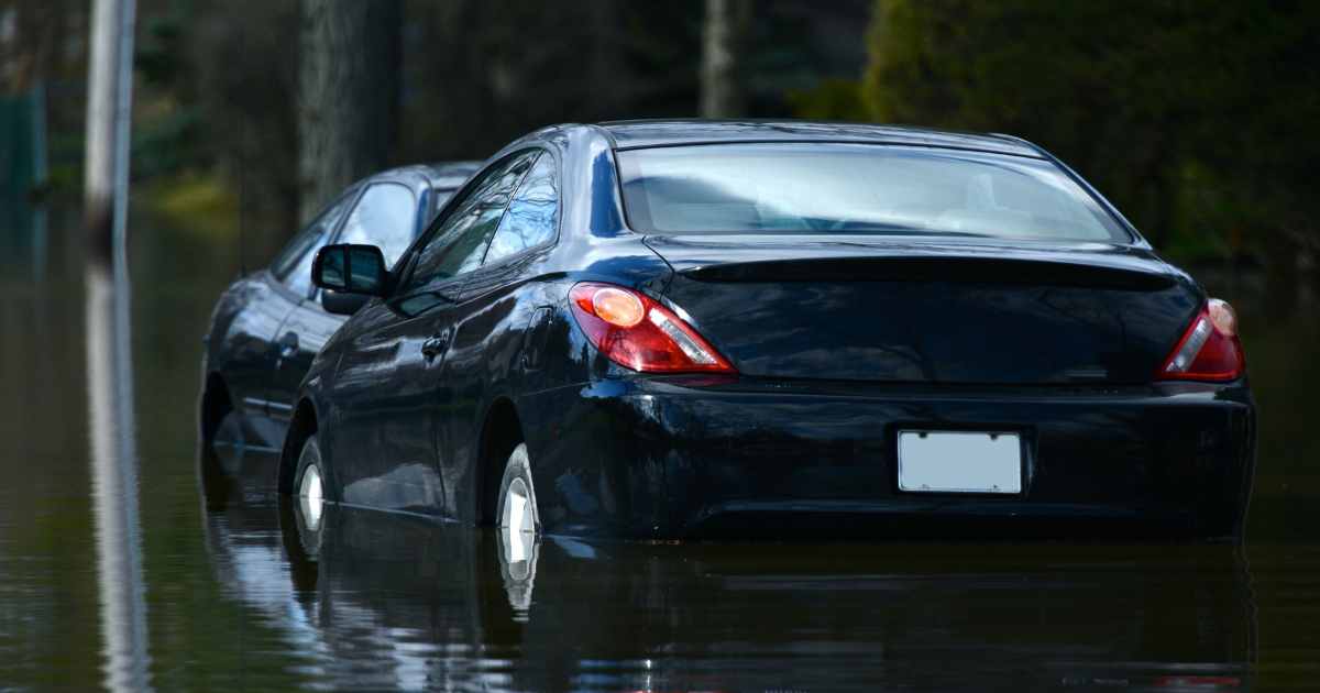 Some flooded cars that may eventually be used as collateral for a salvage title loan.